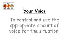 Your Voice PPT