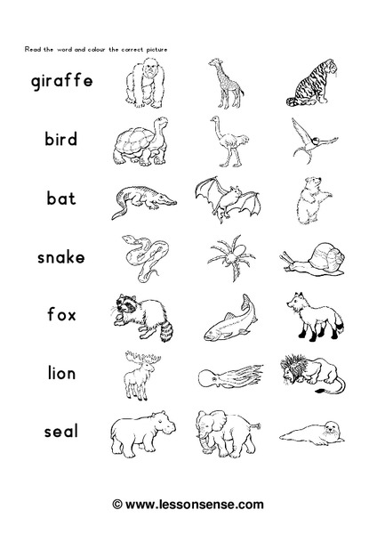 Zoo Animals Worksheet