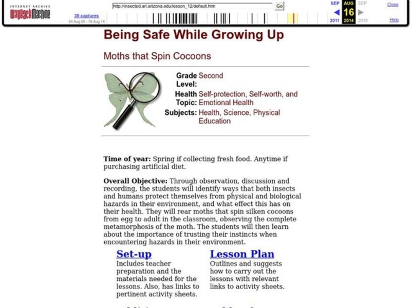 Being Safe While Growing Up Lesson Plan