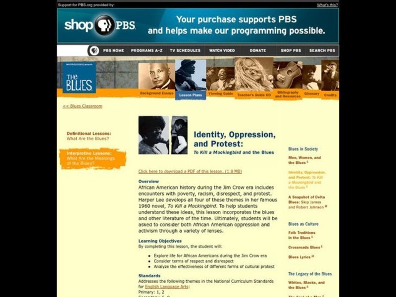 Language Arts, Social Studies, African Americans, The Blues, To Kill A Mockingbird Lesson Plan