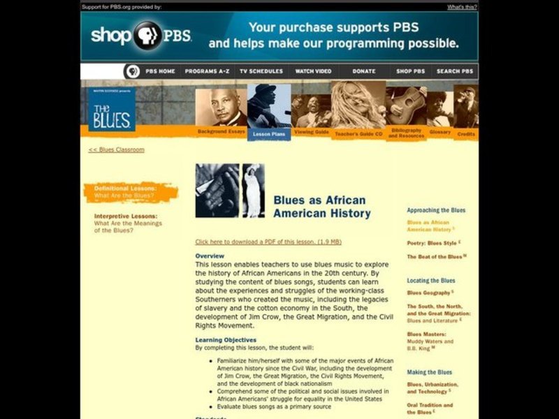 History, African Americans, The Blues Lesson Plan
