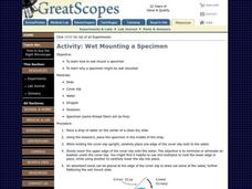 Wet Mounting A Specimen Lesson Plan