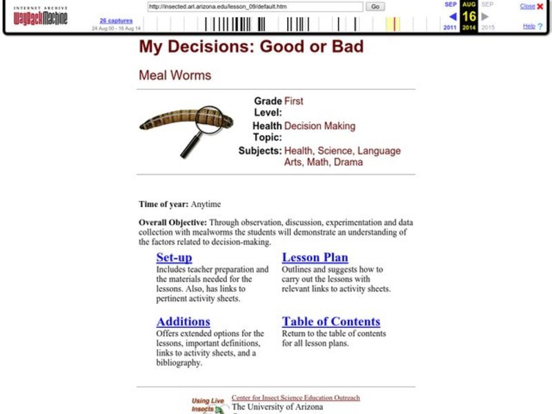 Meal Worms Lesson Plan