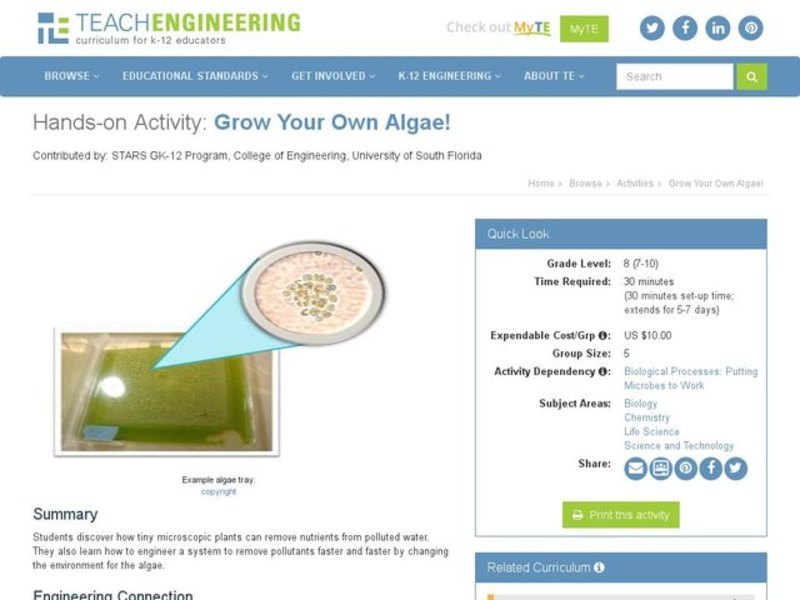 Grow Your Own Algae! Activity