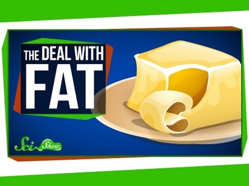 The Deal with Fat Instructional Video