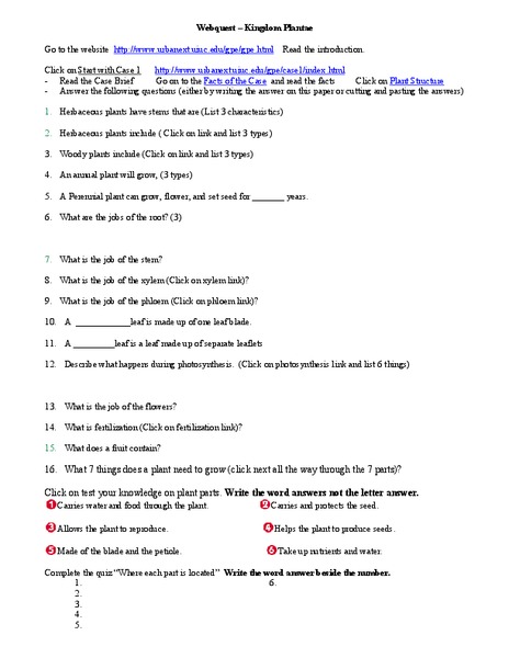 Plantae WebQuest Worksheet