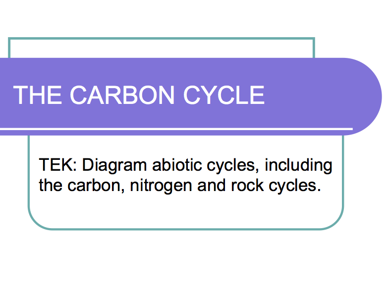 The Carbon Cycle PPT