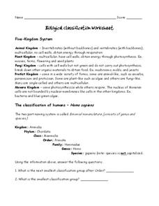 Biological Classification Worksheet Worksheet