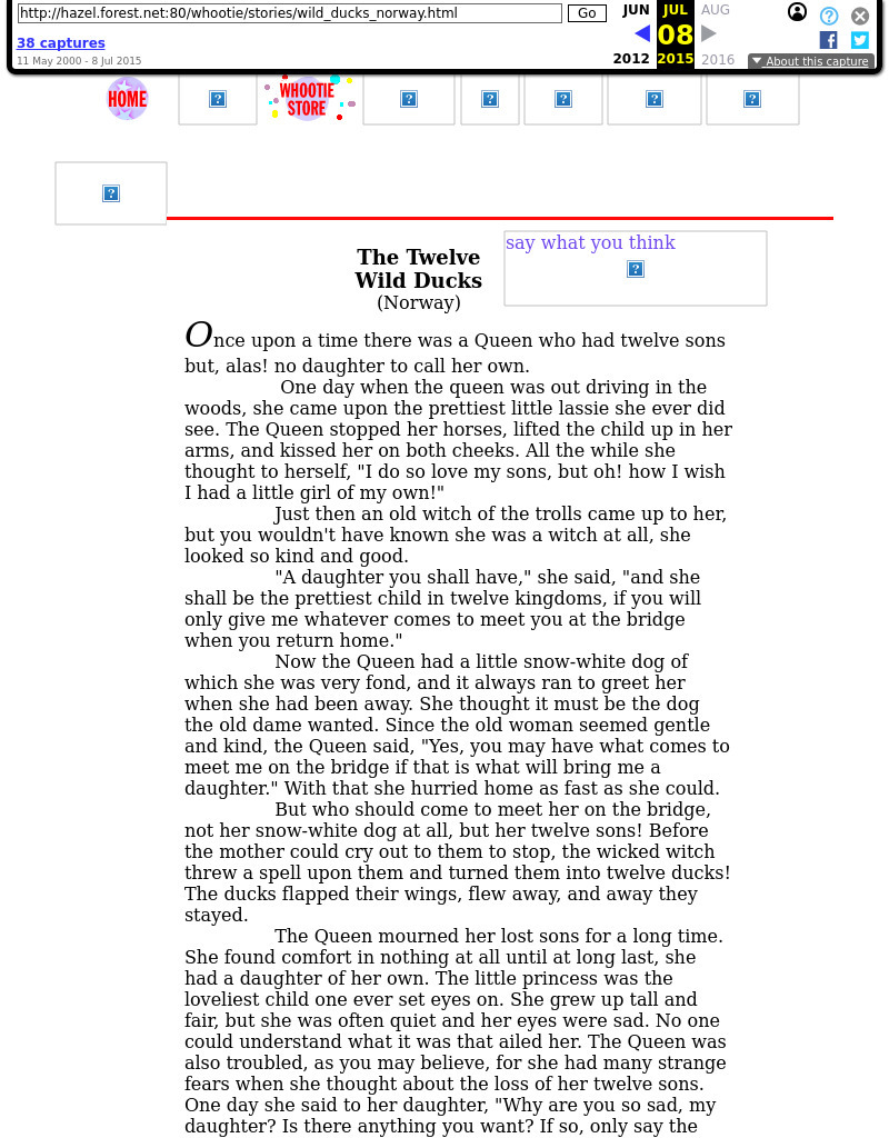 Twelve Wild Ducks (Norway) Worksheet