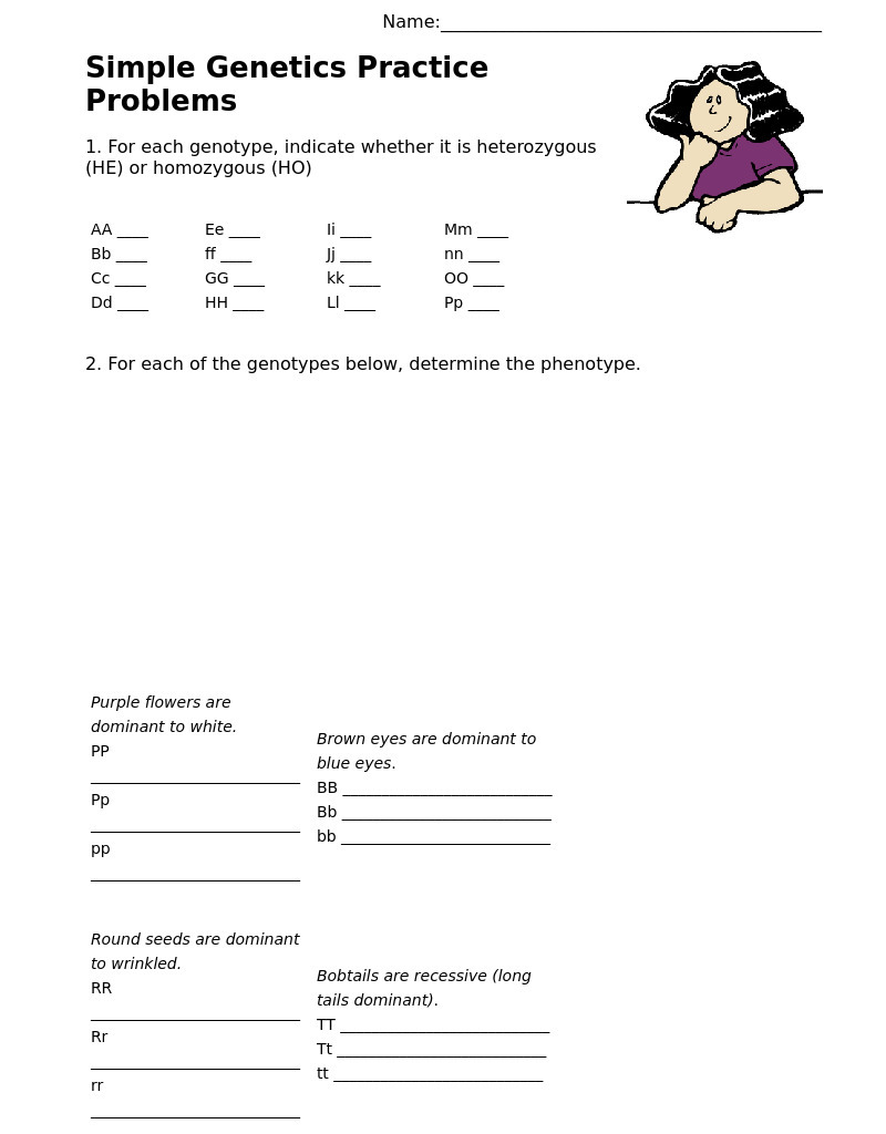Simple Genetics Practice Problems Worksheet