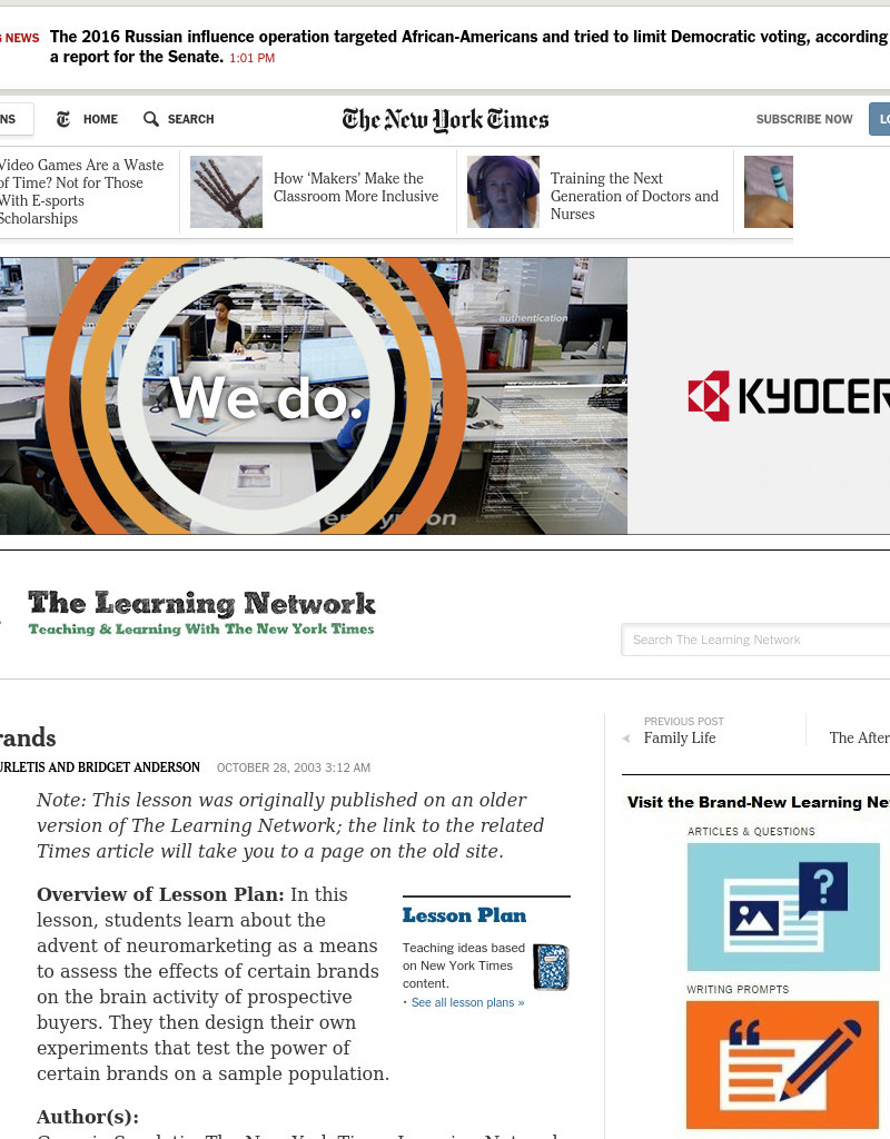 Brain Brands Lesson Plan