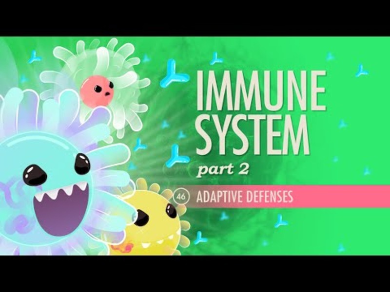 Immune System (Part 2) Instructional Video