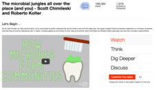 The Microbial Jungles All over the Place (And You) Instructional Video