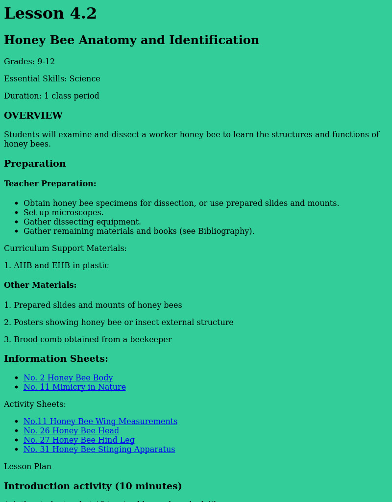 Honey Bee Anatomy and Identification Lesson Plan