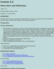 Honey Bees and Pollination Lesson Plan