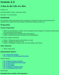 A Day in the Life of a Bee Lesson Plan
