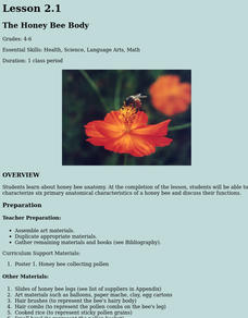 The Honey Bee Body Research Lesson Plan