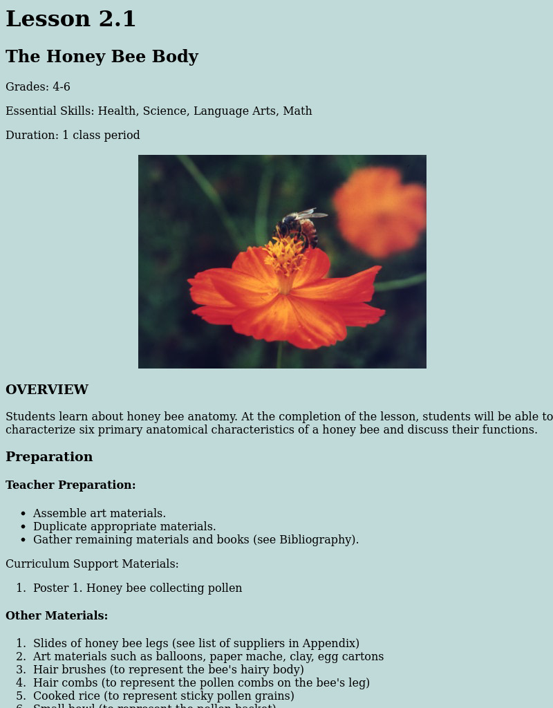 The Honey Bee Body Research Lesson Plan