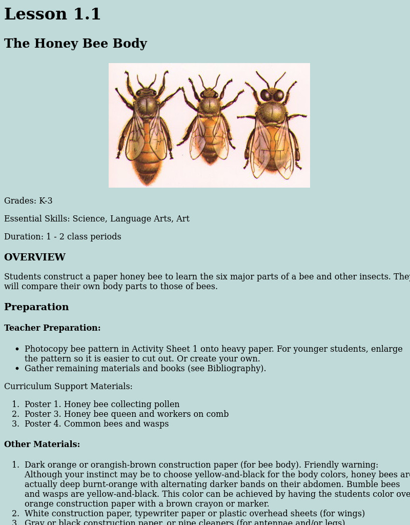The Honey Bee Body - Paper Honey Bee Lesson Plan