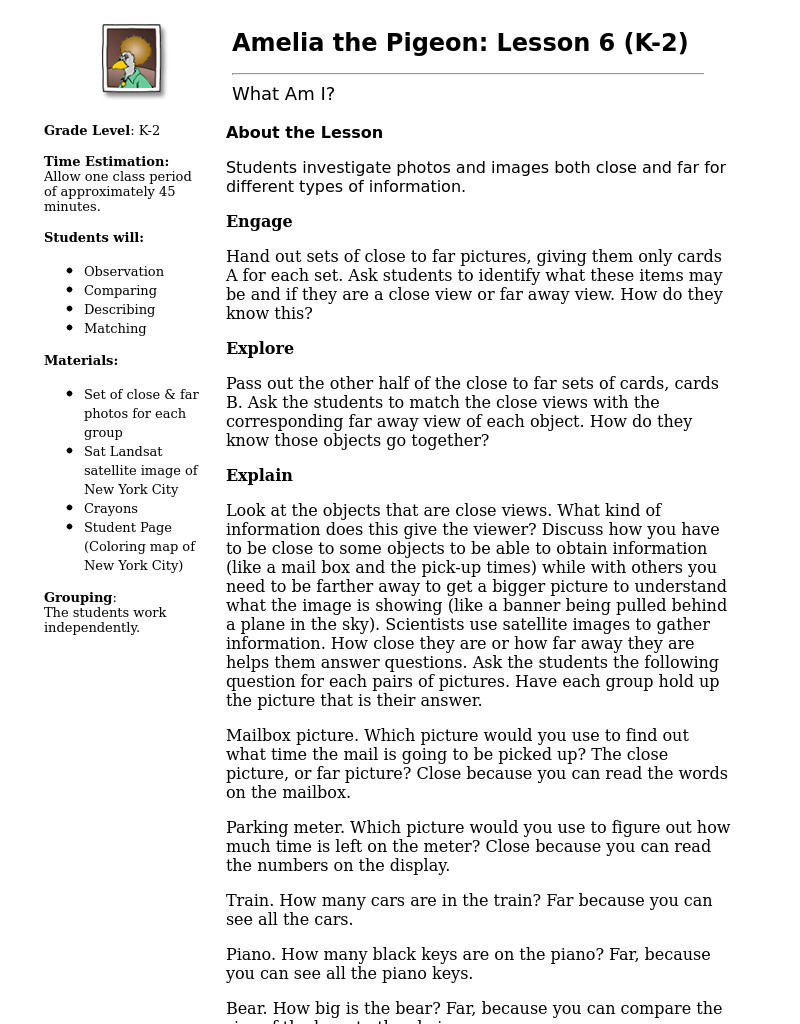 Amelia the Pigeon: What Am I? Lesson Plan