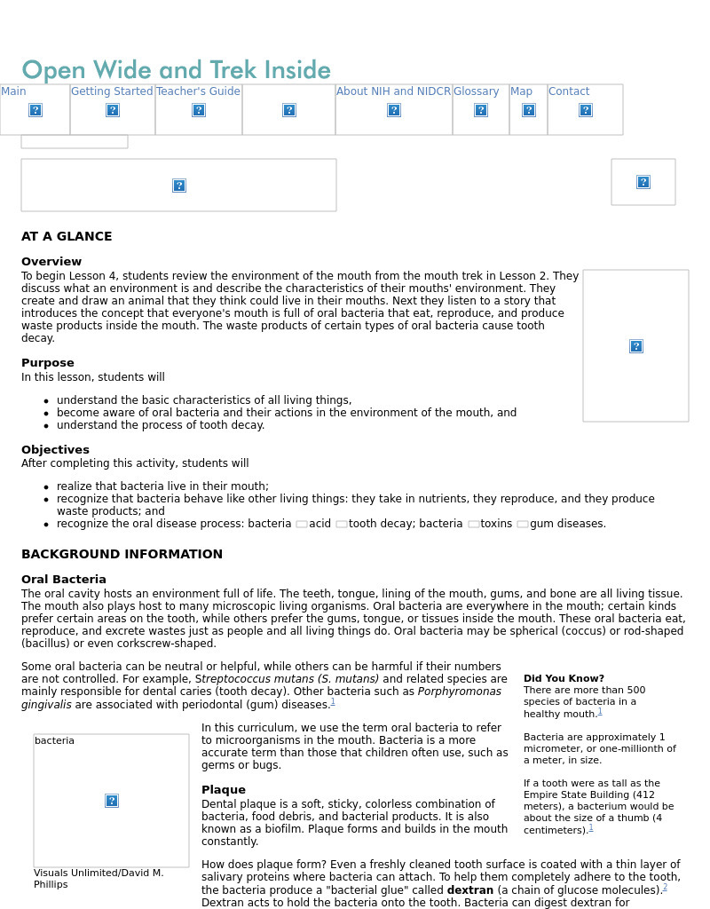 What Lives Inside Your Mouth? Lesson Plan