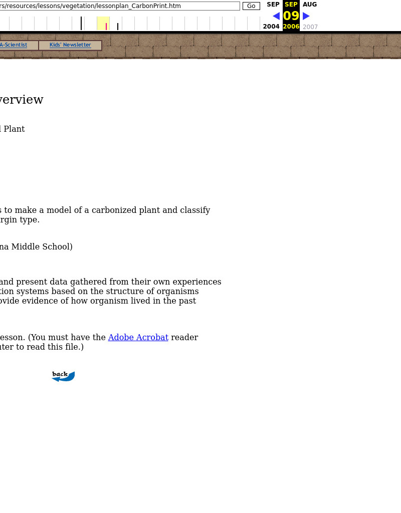 "Fossil" of a Carbonized Plant Lesson Plan